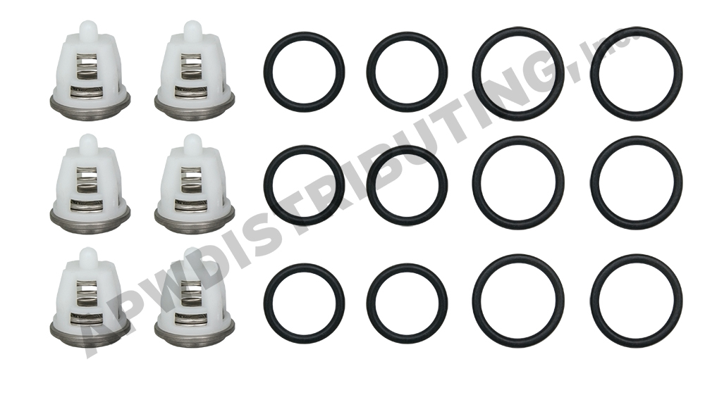 General Pump Ts2021 Rebuild Kit