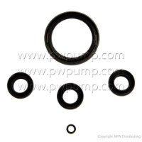 Oil Seal Kit