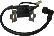 099980136014, IGNITION COIL