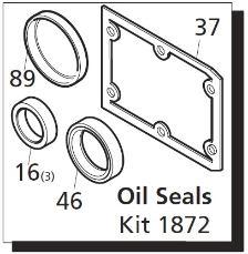 Oil Seal Kit