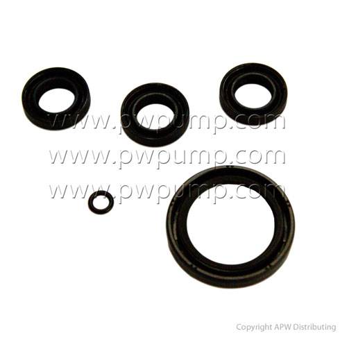 Oil Seal Kit