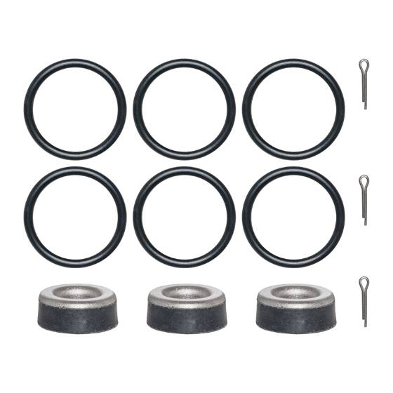 Cat Pump Hot Seal Kit - 30272