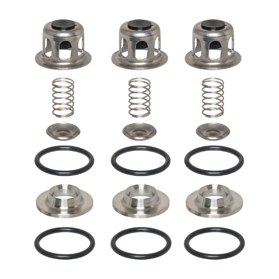 Cat Pump Valve Kit - 30686