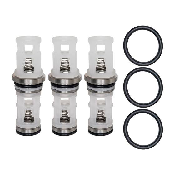 Cat Pump Valve Kit, 31647