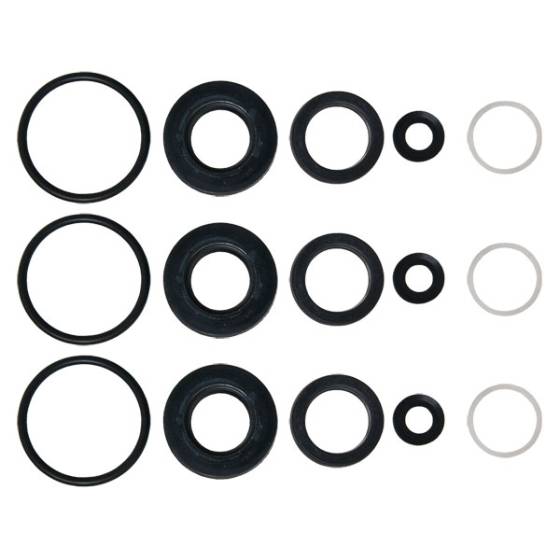 Cat Pump Seal Kit 31684