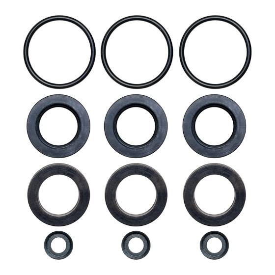 Cat Pump Seal Kit - 33053