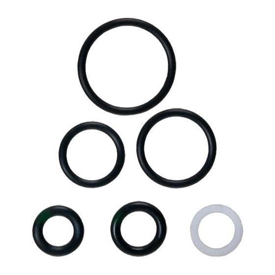 Cat Pump O-Ring Kit 33099