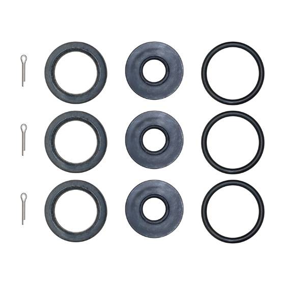 Cat Pump Seal Kit, 34053