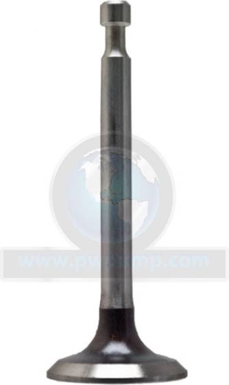 Valve, Intake 14711-ZL8-000