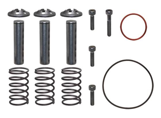 185713GS, Piston Kit