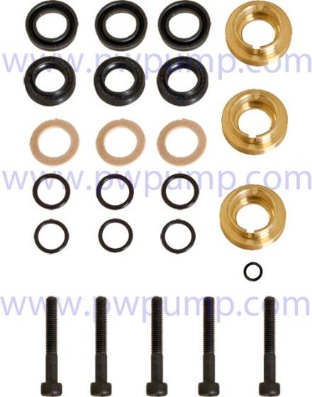 Pump Seal Repair Kit