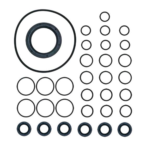 Oil Seal Kit