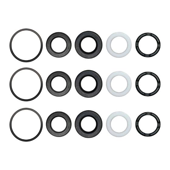 Comet Pump - Water Seal Kit (3000 PSI models)