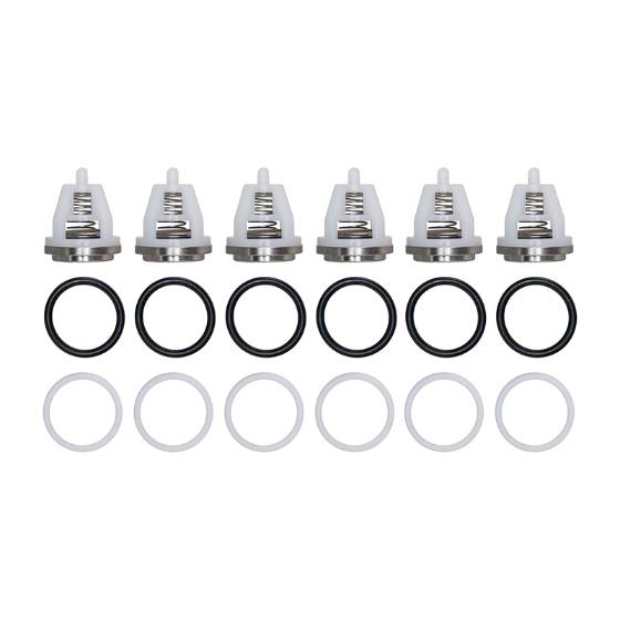 Valve Kit , Up to 3600 PSI 5025.0020.00