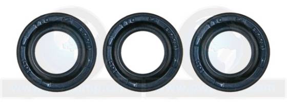 Oil Seal, 6.365-393.0