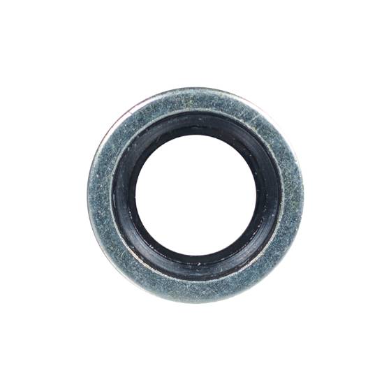 1560280 Sealing Washer