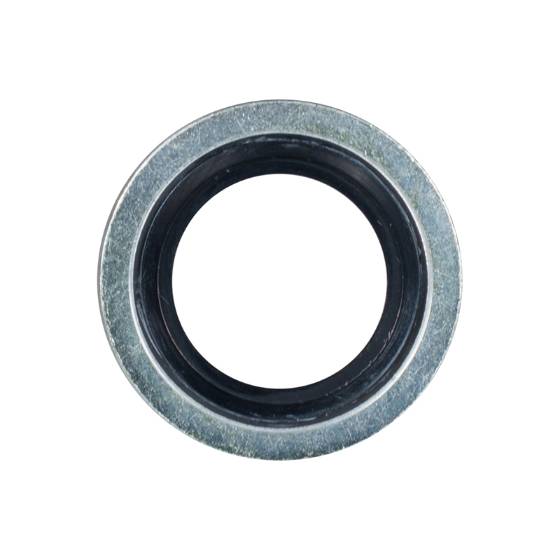 1560290 Sealing Washer