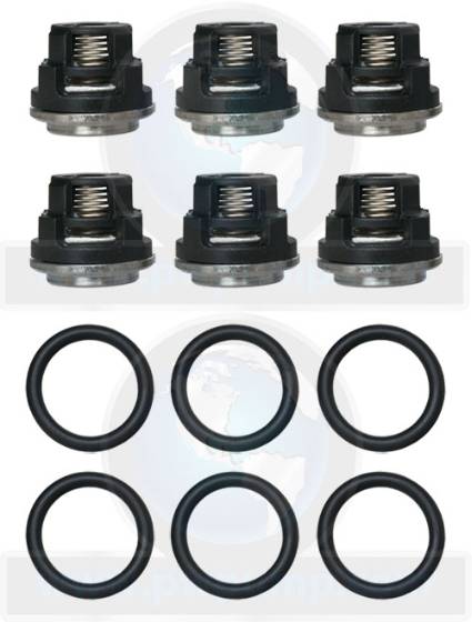 AR Check Valve Kit