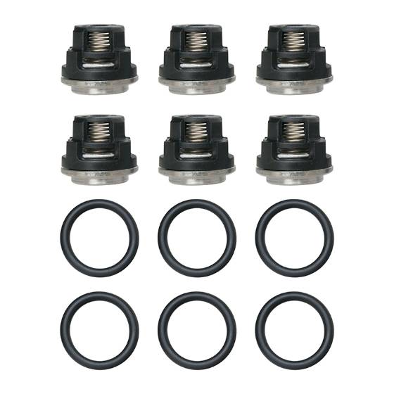 Check Valve Kit AR2125