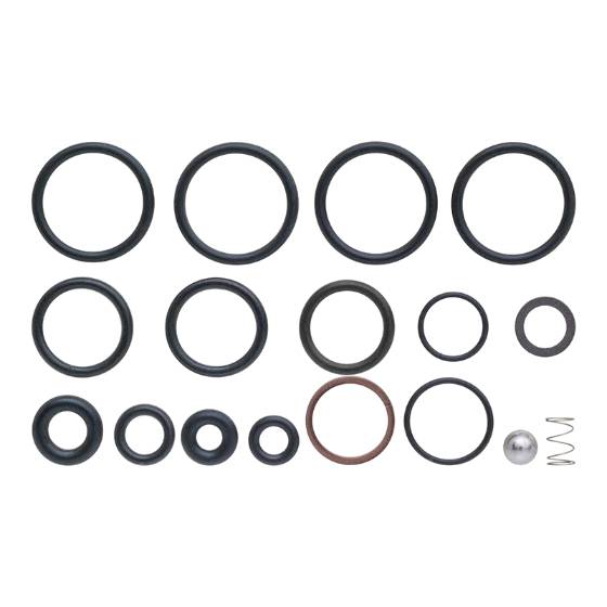 O-Ring Kit, AR2190
