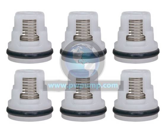 Check Valve Kit, OH95650110