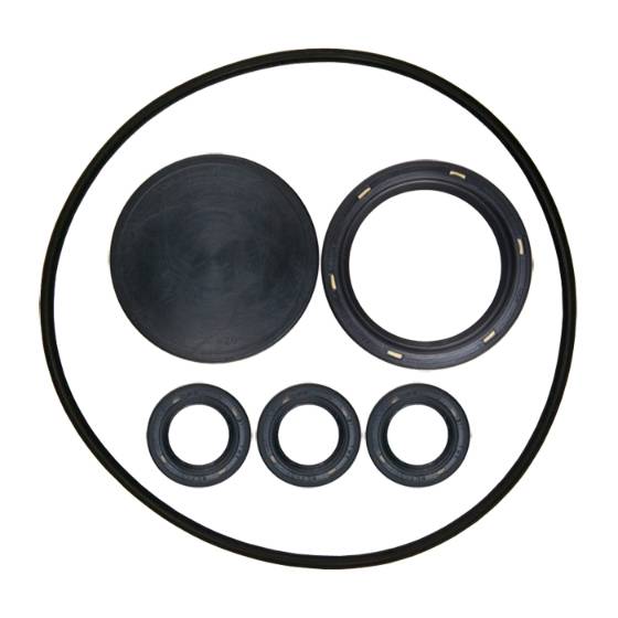 Oil Seal Kit