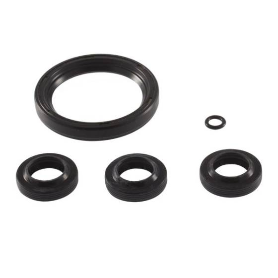 Oil Seal Kit, AR2797