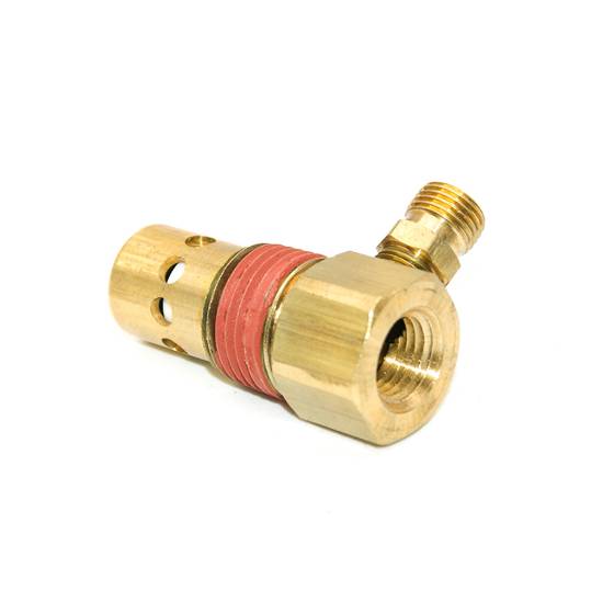 Tank Check Valve 1/2npt D20204