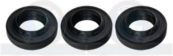 Oil Seal Kit PM256500SV