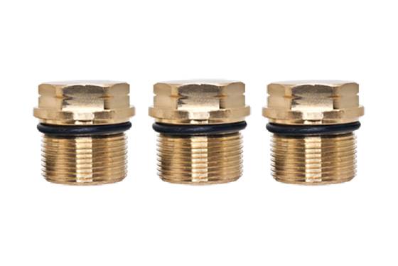 RM Series Pump Valve Cap Kit