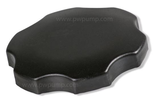 FUEL CAP, 099981173076