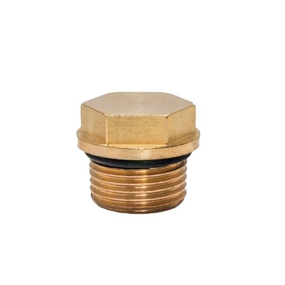 Brass Valve Cap AR1989600