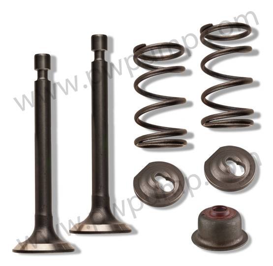 Valve Kit
