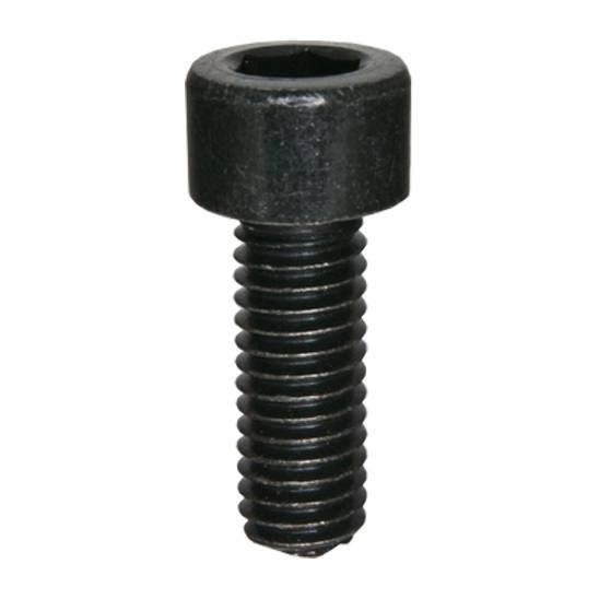 Crankcase Cover Screw