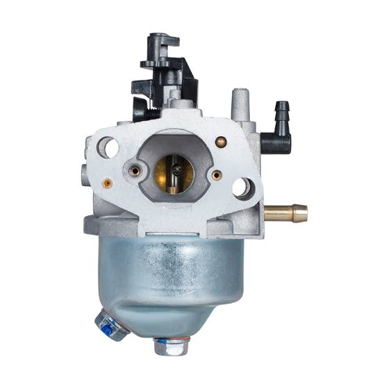 Carburetor 16100-z250710-0099