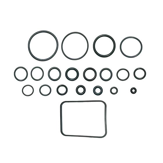 O-Ring Kit 7105707