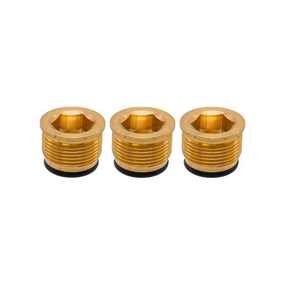 AAA Valve Cap Kit 7110129