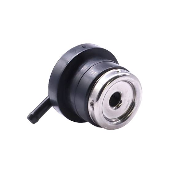 Roll Over Valve 7112475