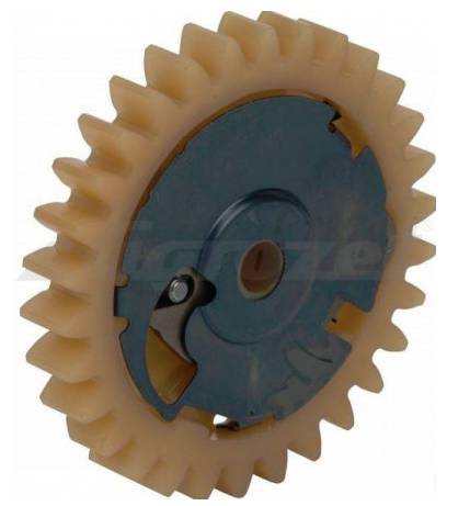 Camshaft assy