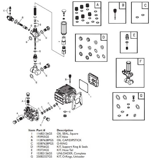 Briggs & Stratton 195081GS Pump Parts