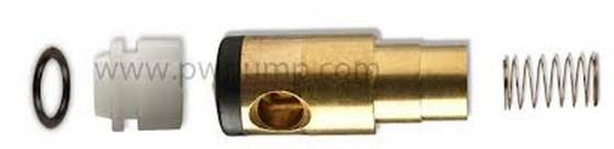 Check Valve Kit