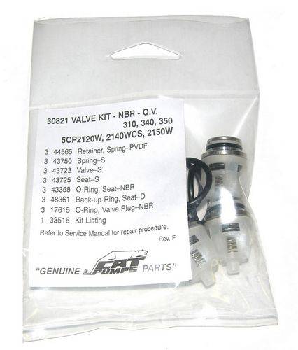 Cat Pump Valve Kit - 30821