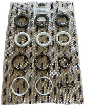 Cat Pump Seal Kit - 31040