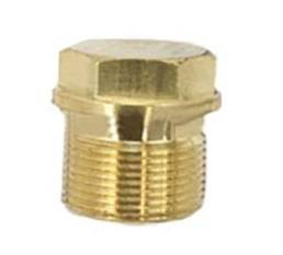 Valve Cap 317334GS