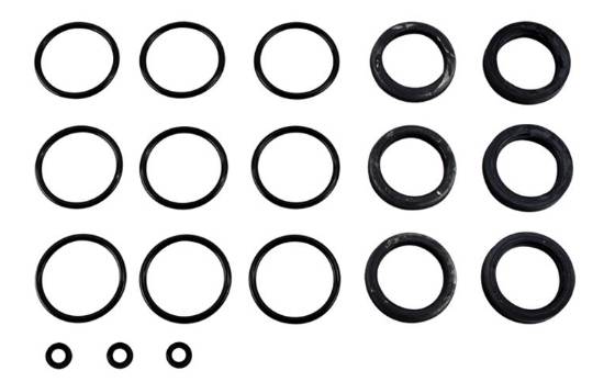 Cat Pump Seal Kit - 31770, Free Shipping !