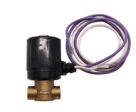 CLEANBURN Oil Solenoid 33013