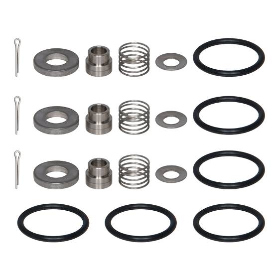 Cat Pump Inlet Valve Kit - 34770