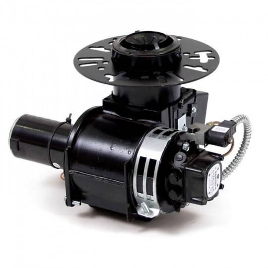 WAYNE 12VDC ASSEMBLY