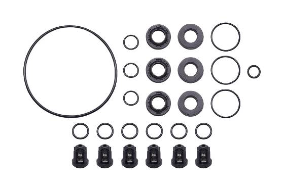 Pump Rebuild Kit 7000290