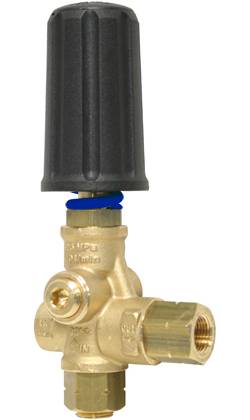 Cat Pump Regulator